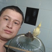  ,   , 34 ,   