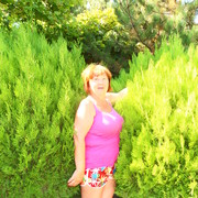  ,   , 61 ,  