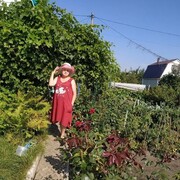   ,   , 58 ,   ,   
