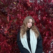 ���������� �����������, �����