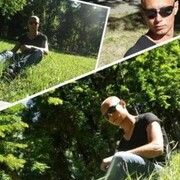 ���������� ���������, ���� ������� ������, 39 ���, ������������ ��� ������, ����� � ���������, c�������� ���������, ���������