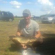 ���������� �������������, ���� ������� ���������, 38 ���, ������������ ��� ������, ����� � ���������, c�������� ���������