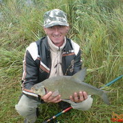  ,   Evgenbelenko, 40 ,   