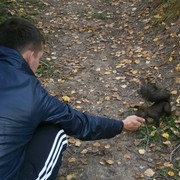 ���������� �������, ���� ������� ������, 32 ����, ������������ ��� ������, ����� � ���������, c�������� ���������