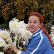  ,   , 55 ,  