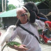 ���������� �����-���������, ���� ������� ������, 53 ����, ������������ ��� ������, ����� � ���������