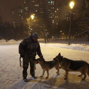 ���������� ������, ���� ������� ������, 48 ���, ������������ ��� ������, ����� � ���������