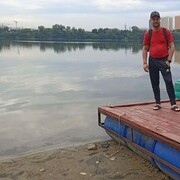 ���������� ���������, ���� ������� ������, 43 ����, ������������ ��� ����� � ���������, ���������