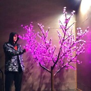 ���������� ������, ���� ����� ����, 24 ����, ������������ ��� ������, ���������