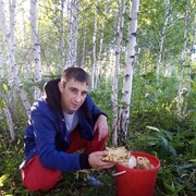 ���������� ������, ���� ������� �������, 41 ���, ������������ ��� ����� � ���������, c�������� ���������