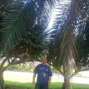  ,   , 46 ,   ,   , c 