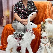  ,   , 62 ,   