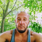  -,   , 41 ,   ,   