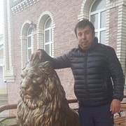  ,   , 41 ,   