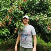 ���������� ���������, ������� ������, 38