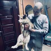 ���������� ����������, ���� ������� ������, 35 ���, ������������ ��� ������, ����� � ���������