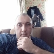  ,  , 43