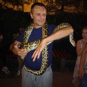  ,   , 54 ,   c 