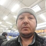 ���������� �����-���������, ���� ������� ������, 38 ���, ������������ ��� ����� � ���������, c�������� ���������