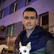 ���������� ������, ���� ������� ����, 43 ����, ������������ ��� c�������� ���������