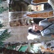 ���������� �����, ���� ������� Sergej, 41 ���, ������������ ��� ������, ����� � ���������, c�������� ���������