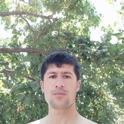  ,  Bahodir, 41