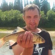 ���������� ������, ������� �������, 43