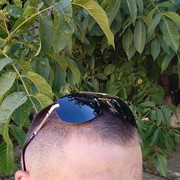  ,   Slavik, 37 ,   ,   , c 