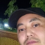 ���������� ���������, ���� ������� Koly, 40 ���, ������������ ��� ������