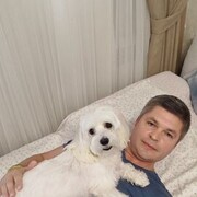  ,    , 48 ,   