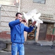 ���������� ������, ���� ������� Nickolay, 33 ����, ������������ ��� ������, ����� � ���������, c�������� ���������