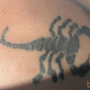 ���������� �������, ���� ������� �������, 36 ���, ������������ ��� ������