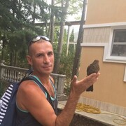 ���������� �����-���������, ���� ������� ������, 47 ���, ������������ ��� ����� � ���������, c�������� ���������