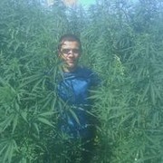 ���������� ��������, ���� ������� Serg190mm, 31 ���, ������������ ��� ������, ���������