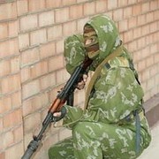 ���������� �����, ���� ������� �����, 43 ����, ������������ ��� ����� � ���������, c�������� ���������