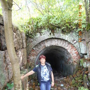  ,   , 55 ,   