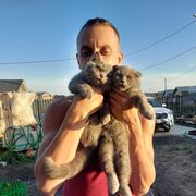 ���������� �����-���������, ���� ������� ����, 37 ���, ������������ ��� ������, ����� � ���������, c�������� ���������