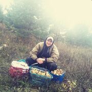 ���������� ���, ���� ������� ������, 38 ���, ������������ ��� ������, ����� � ���������