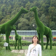 ���������� ����������, ���� ������� ���������, 33 ����, ������������ ��� ������, ����� � ���������