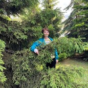 ���������� �������, ���� ������� �������, 56 ���, ������������ ��� ������, ����� � ���������