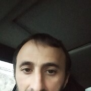 ���������� ������, ���� ������� Art, 44 ����, ������������ ��� ������, ����� � ���������