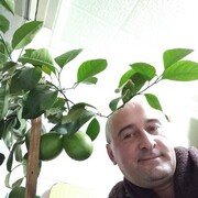 ���������� �����������, ���� ������� ���, 49 ���, ������������ ��� ������, ����� � ���������, c�������� ���������, ���������