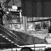 ���������� Adamshoffnung, ���� ������� Dav, 36 ���, ������������ ��� ������, ����� � ���������, c�������� ���������