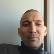  ,   , 41 ,   ,   