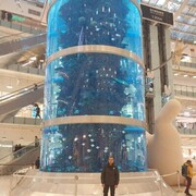  ,   Erkinislomov, 42 ,   , c 