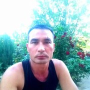 ���������� ������, ���� ������� ����, 49 ���, ������������ ��� ������, ����� � ���������, c�������� ���������, ���������