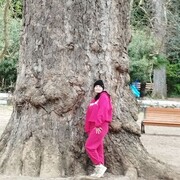  ,   , 55 ,   c 