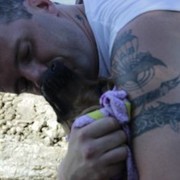 ���������� ������-��-����, ���� ������� �����, 44 ����, ������������ ��� ������