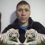 ���������� ������, ���� ������� ���������, 38 ���, ������������ ��� c�������� ���������