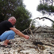 ���������� ������, ���� ������� ������, 46 ���, ������������ ��� ������, ����� � ���������